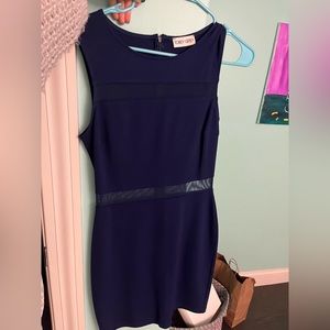 Blue tobey grey dress